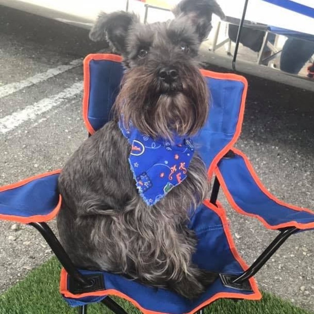 Meet your Posher, Lillee